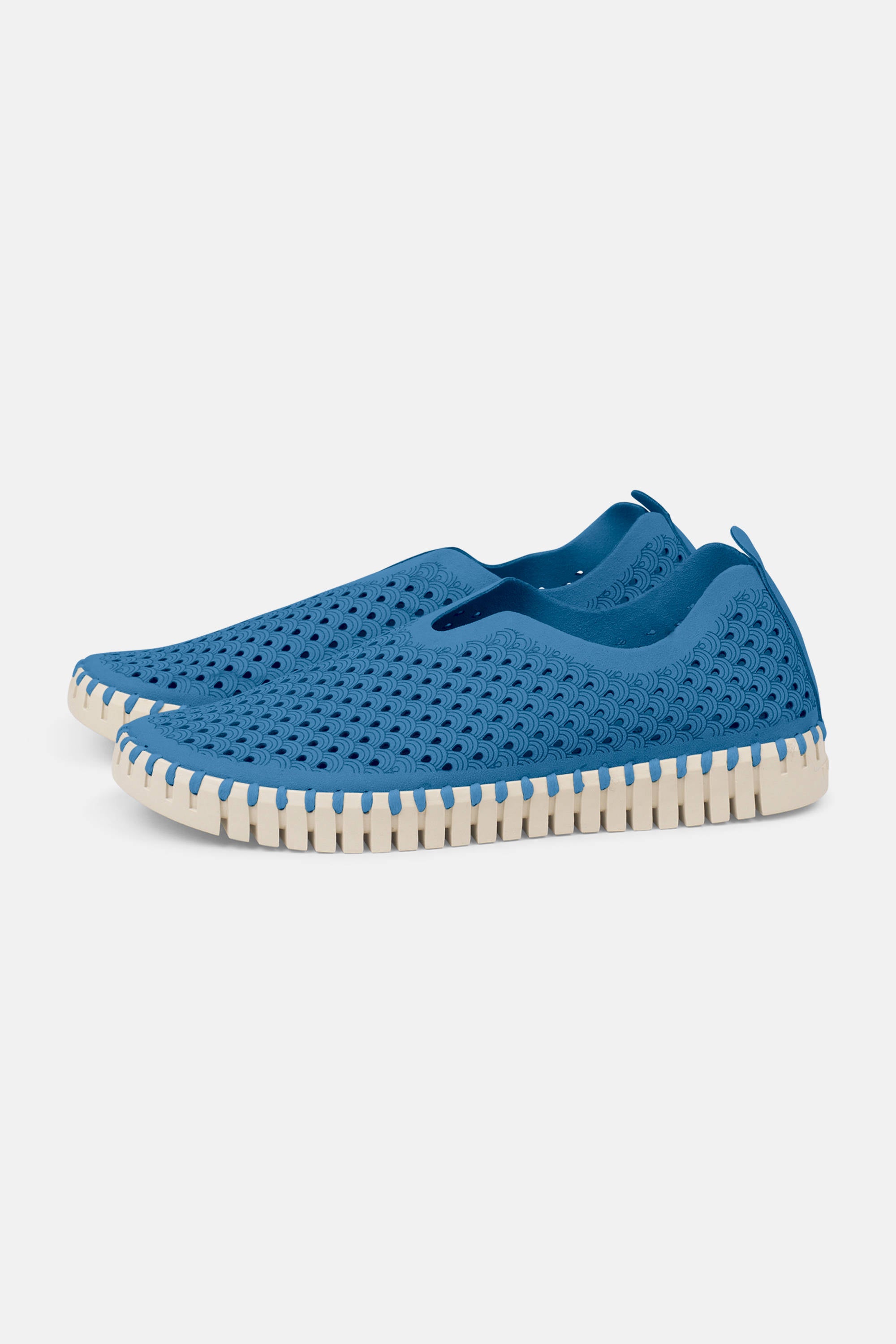Tulip Slipper - Direct Blue